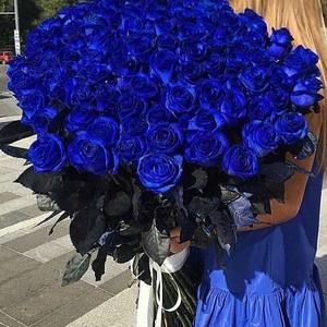 Meet your Posher, Amira